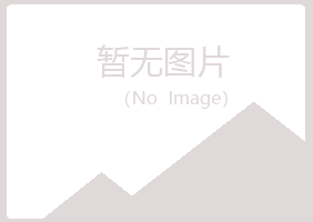 渝北区紫山能源有限公司